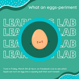 Learning Lab: Eggs-p